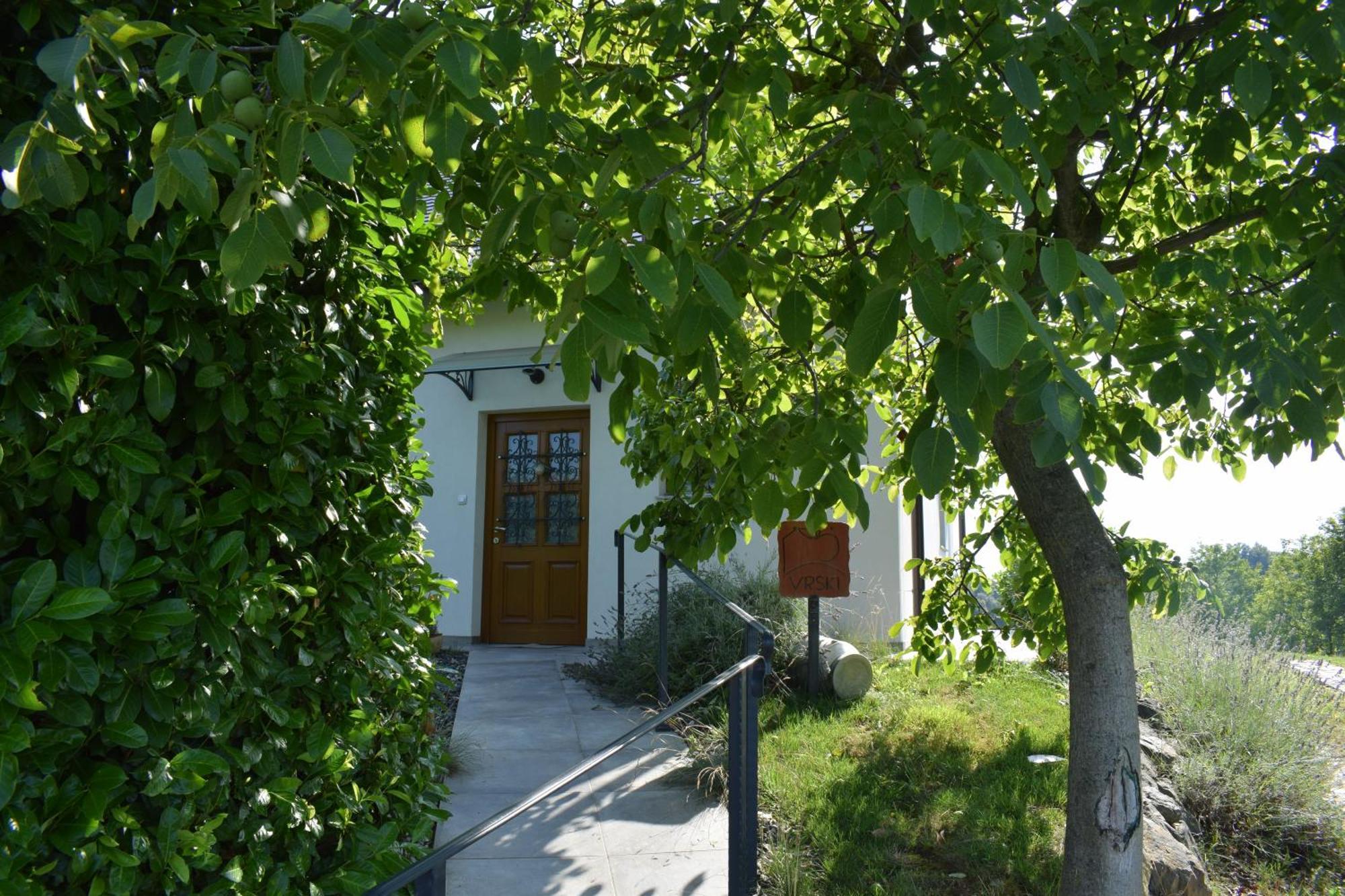 Domacija Vrski Slovenska Bistrica Exterior foto